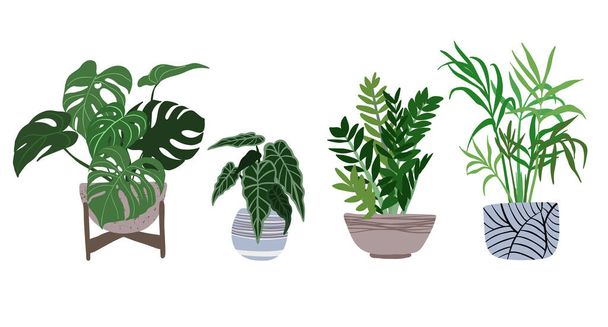 House plants in pots, trendy hand drawn flat  - Vector, imagen