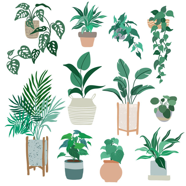 House plants in pots, trendy hand drawn flat  - Vector, afbeelding
