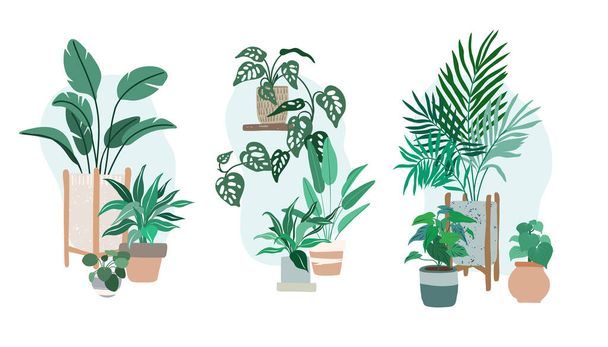Three compositions made with potted house plants  - Vetor, Imagem