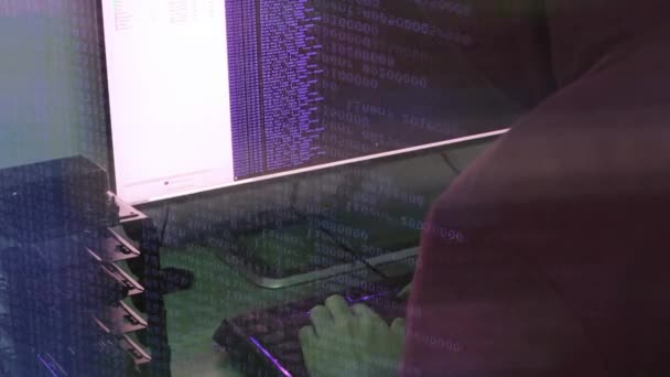 Hakkerimies kirjoittaa violetin koodin hyökkäystä varten. Ohjelmoi virus tietokoneella. - Materiaali, video