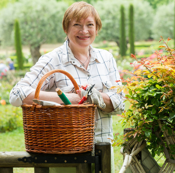 retiree gardener basket - Foto, Bild