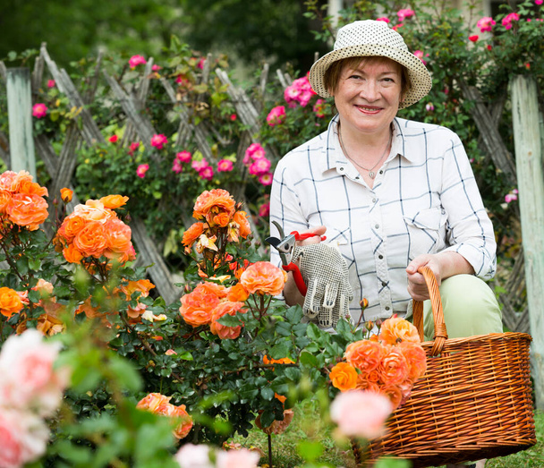 retiree woman yellow roses - Foto, Bild