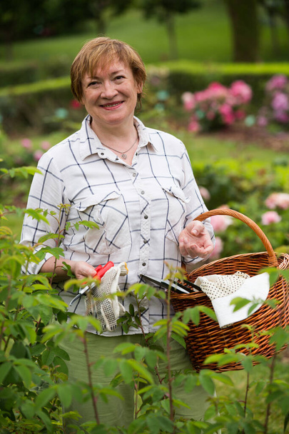 senior gardener basket - Foto, Bild