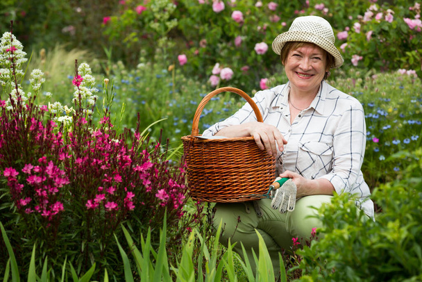 retiree female gardener pink flowers - Zdjęcie, obraz