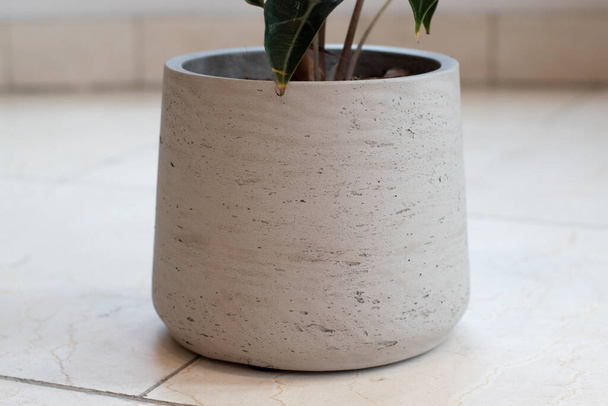 Современный глиняный горшок для растений в квартире. - Фото, изображение