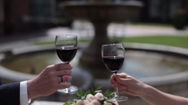 The bride and groom clink glasses - Footage, Video