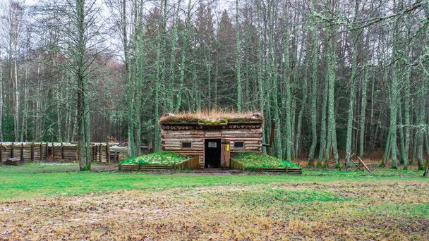 Ormanın ortasında, açık kapısı olan ahşap bir kulübe.. - Fotoğraf, Görsel