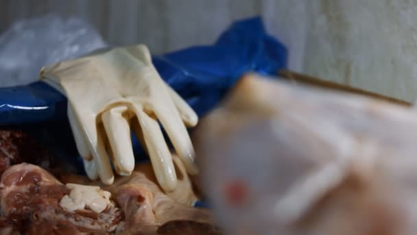 Widok z bliska na parę używanych rękawiczek leżących na pudełku z zamrożonymi nogami kurczaka. Proces pakowania i zamrażania mięsa drobiowego do dalszego wykorzystania w domu. Wideo 4K - Materiał filmowy, wideo