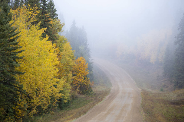 Autumn Northern Saskatchewan wilderness prestine rural scenic - Photo, Image