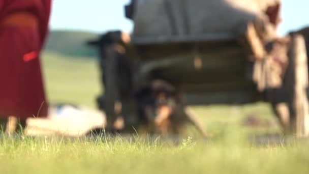 A dog sits in front of an oxcarriage in Mongolia.Traditional tumbrel and black yak steer in rural meadow.Tumbrel or tumbril cart is a two-wheeled cart or wagon typically designed to be hauled by a single horse or ox.Primitive primordial rudimentary. - Footage, Video
