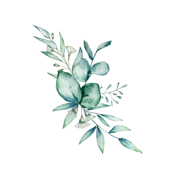 Vesiväri eukalyptus kimppu. Käsin maalatut eukalyptuksen oksat, lehdet ja kukat eristetty valkoisella pohjalla. Kukka kuva suunnittelu, tulostaa, kangas tai tausta. - Valokuva, kuva
