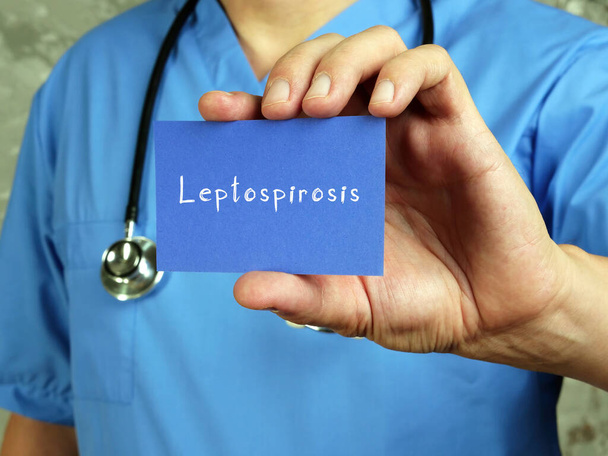 Orvosi fogalom jelentése Leptospirosis Weil-kór kifejezéssel a darab papíron - Fotó, kép