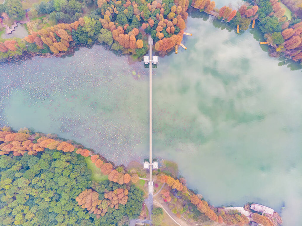 Hubei Wuhan East Lake Paysage Photographie Aérienne Automne Tard - Photo, image