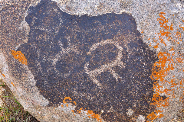 Gravure sur roche ancienne (pétroglyphes
) - Photo, image
