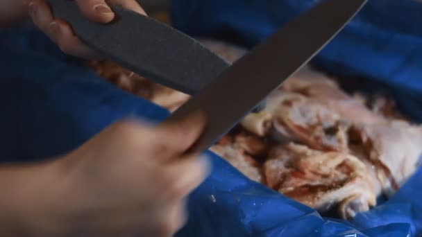 Close-up de mãos femininas afiar faca na cozinha antes de cortar a carne. A preparar a faca para o trabalho. Vídeo 4K - Filmagem, Vídeo
