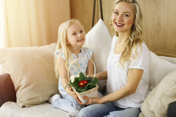 Happy mother day. Child daughter congratulates mom and gives her basket of spring flowers. Family concept - Zdjęcie, obraz