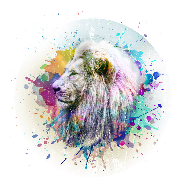 lion head with creative abstract elements on white background - Photo, Image