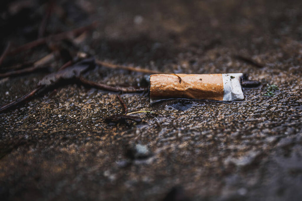 cigaretta csonk az utcán - Fotó, kép