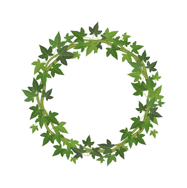 Green ivy circle frame. Wreath of fresh leaves decoration round plant branch with copy space, organic botanical element for decor, natural vine border vector cartoon isolated illustration - Vektori, kuva