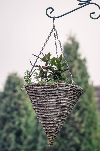 pot de fleurs extérieur en forme de cône en bois tissé - Photo, image