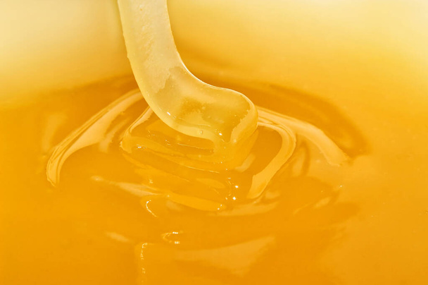 flowing delicious honey yellow background - Photo, Image