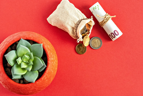 ユーロ硬貨はバラップから落下し、ポットに多肉植物の花を持つ赤い背景に紙幣を転がしました。選択的焦点 - 写真・画像