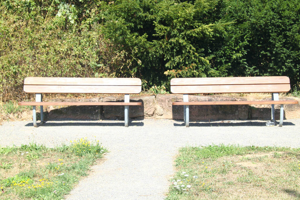 木の2つのベンチ、背景の緑の茂み - 写真・画像