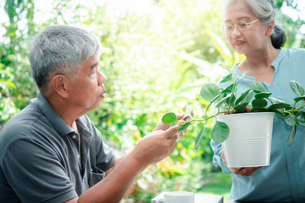 Une vieille femme asiatique heureuse et souriante est en train de planter pour un passe-temps après sa retraite avec son mari. Concept d'un mode de vie heureux et d'une bonne santé pour les aînés. - Photo, image
