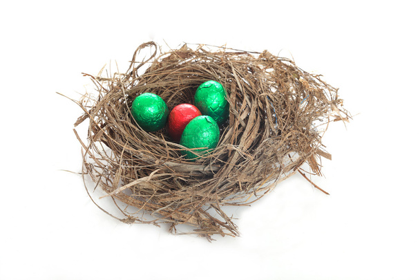 Яйцо гнезда - Фото, изображение