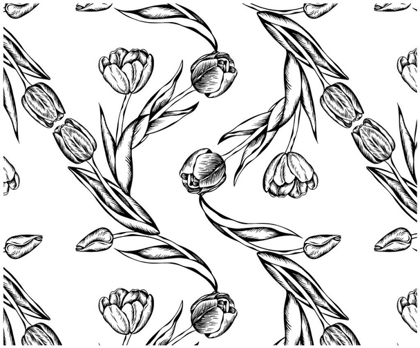 Vázlatos kézzel rajzolt minta fekete évjárat tulipán virágok elszigetelt fehér alapon. Retro vonal művészet virág tapéta, textil. Török, holland tulipán. Vektoros virágillusztráció. - Vektor, kép