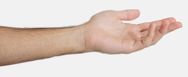 Mužská dlaň prázdná nabízí izolované na bílém pozadí. Muž ukazující levou ruku, prosící o pomoc, dávající nebo žebrající koncept - Fotografie, Obrázek