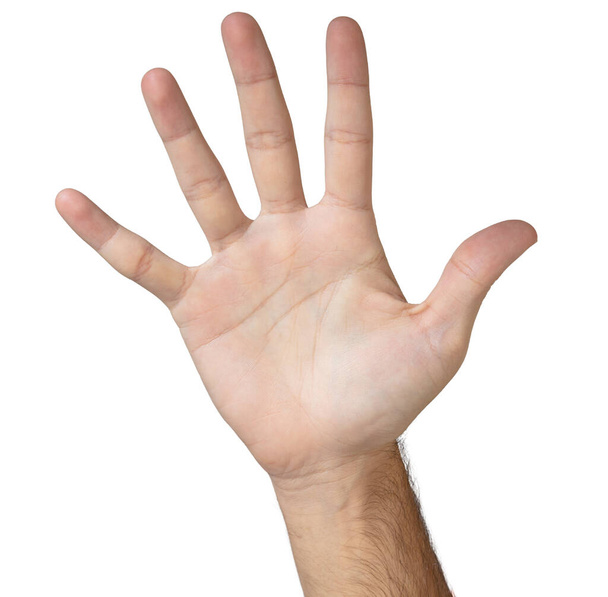Ανδρική παλάμη, πέντε ανοιχτά δάχτυλα απομονωμένα σε λευκό φόντο. Ο άνθρωπος δείχνει άδειο δεξί χέρι, γεια πέντε, χαιρετισμός, στοπ σήμα, πέμπτη έννοια - Φωτογραφία, εικόνα