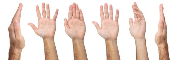 Mužské gesta rukou a podepsat sbírku izolované střih na bílém pozadí, sada více obrázků - Fotografie, Obrázek