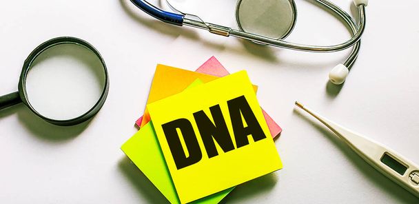 DNA is written on a bright sticker on a light background near a stethoscope, magnifying glass and an electronic thermometer. Medical concept - Photo, image