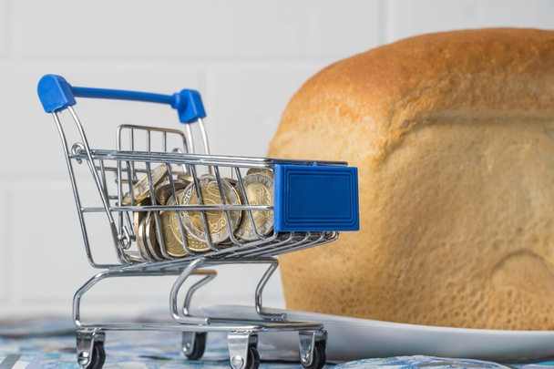 Cazaquistão tenge KZT em uma cesta de supermercado com pão. Aumento dos preços dos alimentos e das compras no Cazaquistão e noutros países. Ajuda humanitária. - Foto, Imagem
