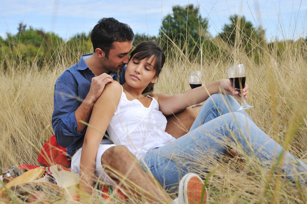 Happy couple enjoying countryside picnic in long grass - Foto, Imagem