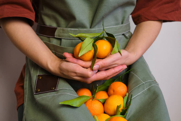 Friss mandarin kötényben egy gyönyörű lányon. Női farmer, aki édes természetes mandarint gyűjt. Kiválasztott egészséges organikus gyümölcsök vitaminokkal. Finom lédús citrusfélék trópusi gyümölcse - Fotó, kép