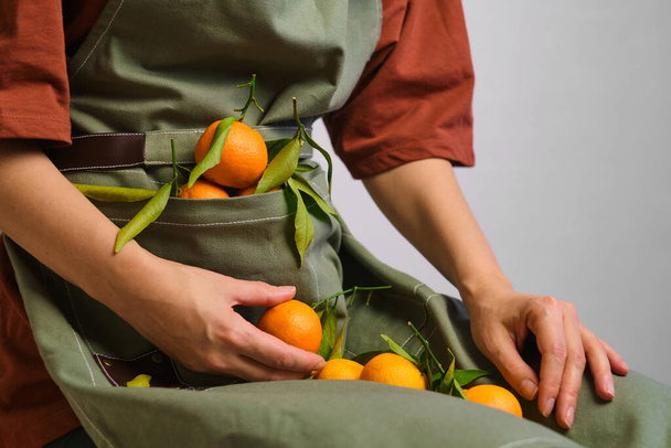 Fresh tangerines in an apron at a beautiful girl. Woman farmer harvesting sweet  natural tangerines. Handpicked healthy organic fruits with vitamins. Delicious juicy citrus tropical fruit - Photo, Image
