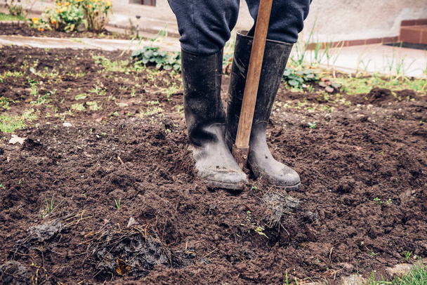 Zkušený zahradník vykope svou zahradu. Mladý muž stojí v bahnité zemi a dělá zvláštní drážku pro hnůj. Představujeme každodenní venkovskou práci na venkově. - Fotografie, Obrázek