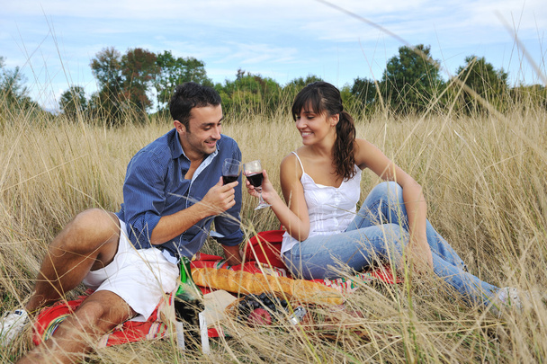 Happy couple enjoying countryside picnic in long grass - Fotoğraf, Görsel