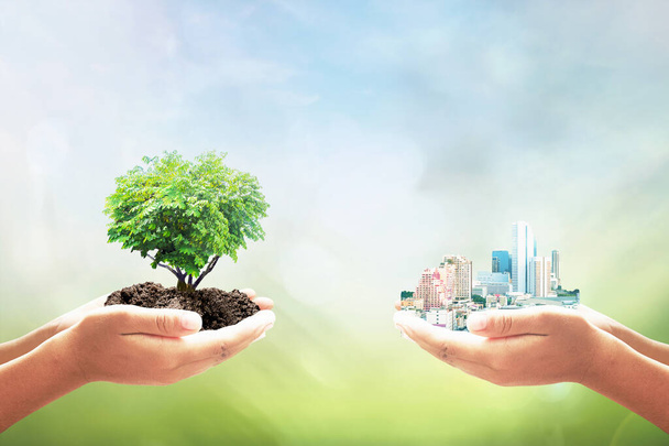 Duurzame ontwikkelingsdoelen (SDG 's) concept: Twee menselijke hand die de hartvorm van boom en grote stad over wazige groene natuur heen houden - Foto, afbeelding