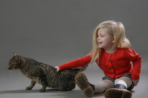 Studio portrét roztomilé holčičky s kočkou  - Fotografie, Obrázek