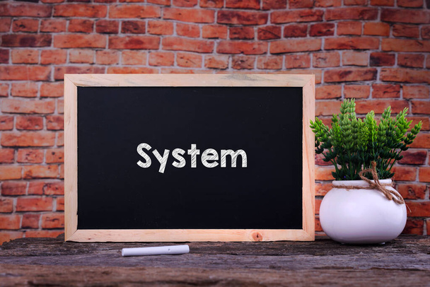 System word on blackboard with green plant - Foto, imagen