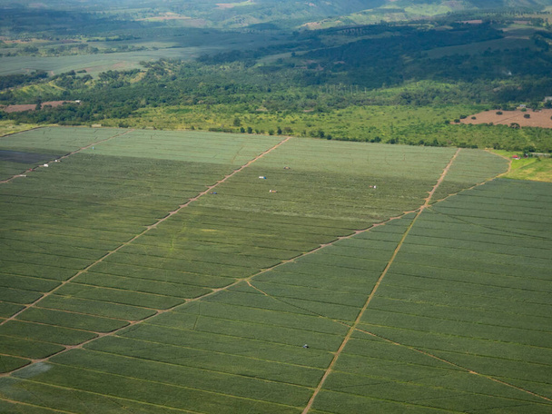 Vista aérea da plantação de abacaxi perto da cidade de General Santos em South Cotabato, Mindanao, nas Filipinas - Foto, Imagem