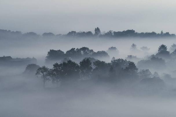 Dorfhäuser und Bäume in tief liegenden dichten Nebelschwaden launischer Morgendunst in Gemeinlescheune NÖ - Foto, Bild