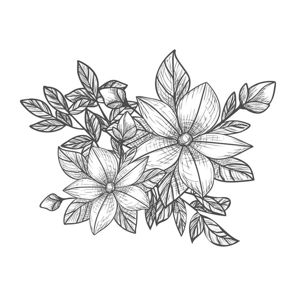 Decorative branches and bouquets. Floral arrangement of flowers and leaves. A bouquet of flowers for the decoration of wedding invitation cards and greeting cards. Black engraving, graphics, line art. Vintage. - Vector, Image