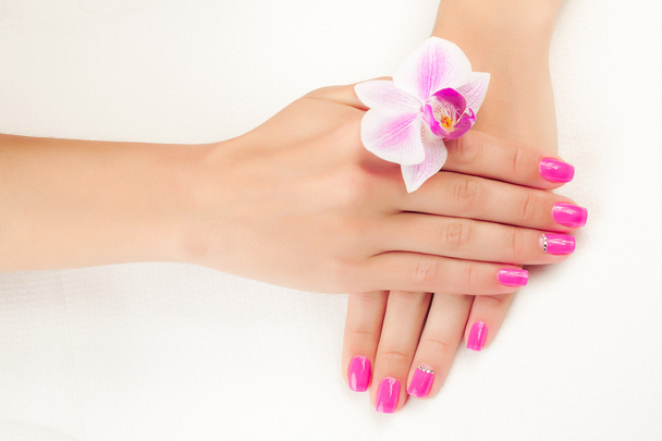 Pink manicure on white - Fotoğraf, Görsel