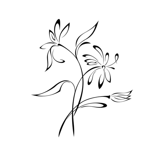 bouquet of stylized flowers on long stems with leaves in black lines on a white background - Vektör, Görsel