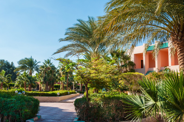 Beautiful park with palms in a five star hotel. Hurghada, Egypt. - Zdjęcie, obraz