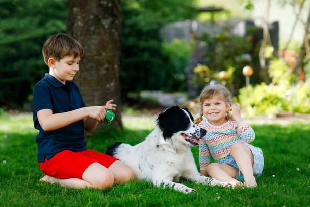 School kid boy and little toddler girl playing with family dog in garden. Two children, adorable siblings having fun with dog. Happy family outdoors. Friendship and love between pet animal and kids - Photo, Image